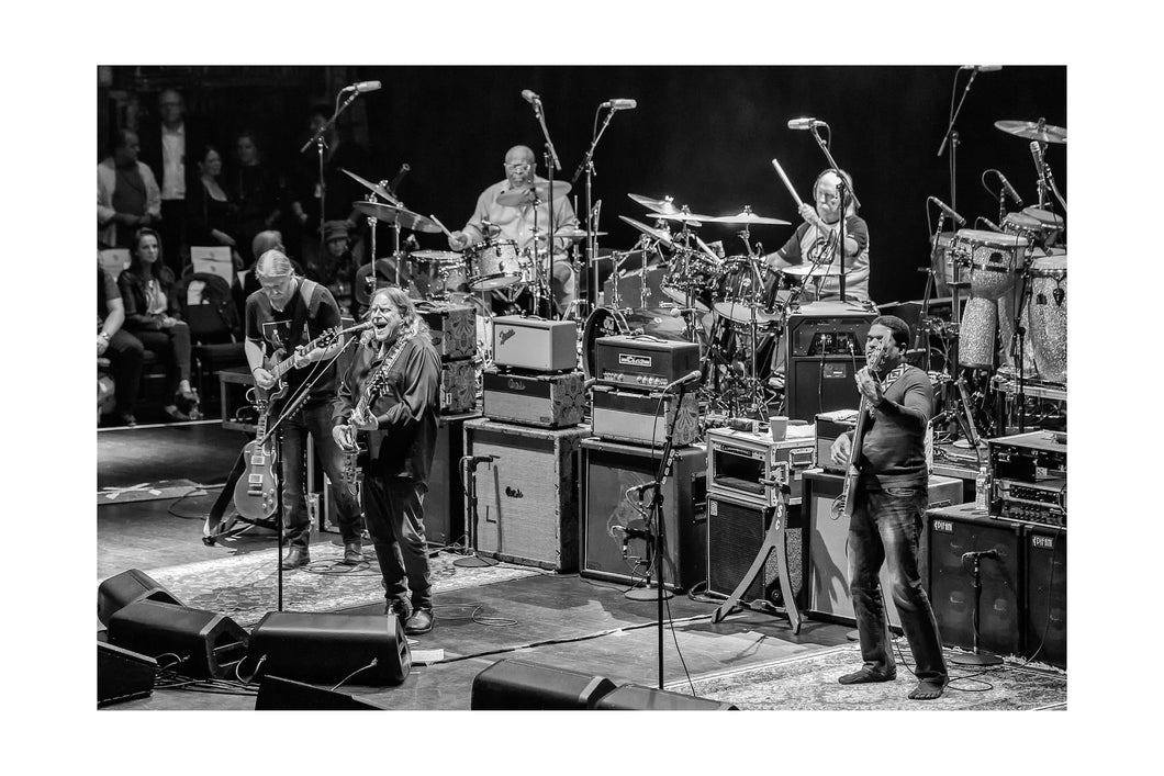 Allman Brothers Band Beacon Theatre 16x24 Black & White Print
