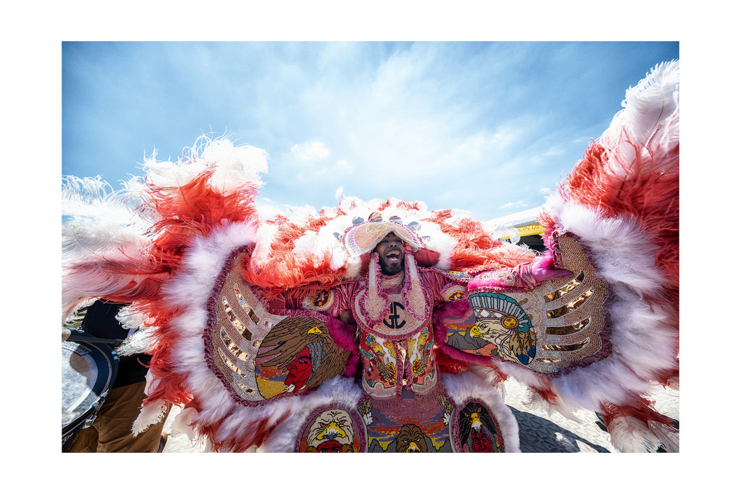 Big Chief Joseph Boudreaux Jr. & the Young Eagles Mardi Gras Indians parade 16x24 Color Print