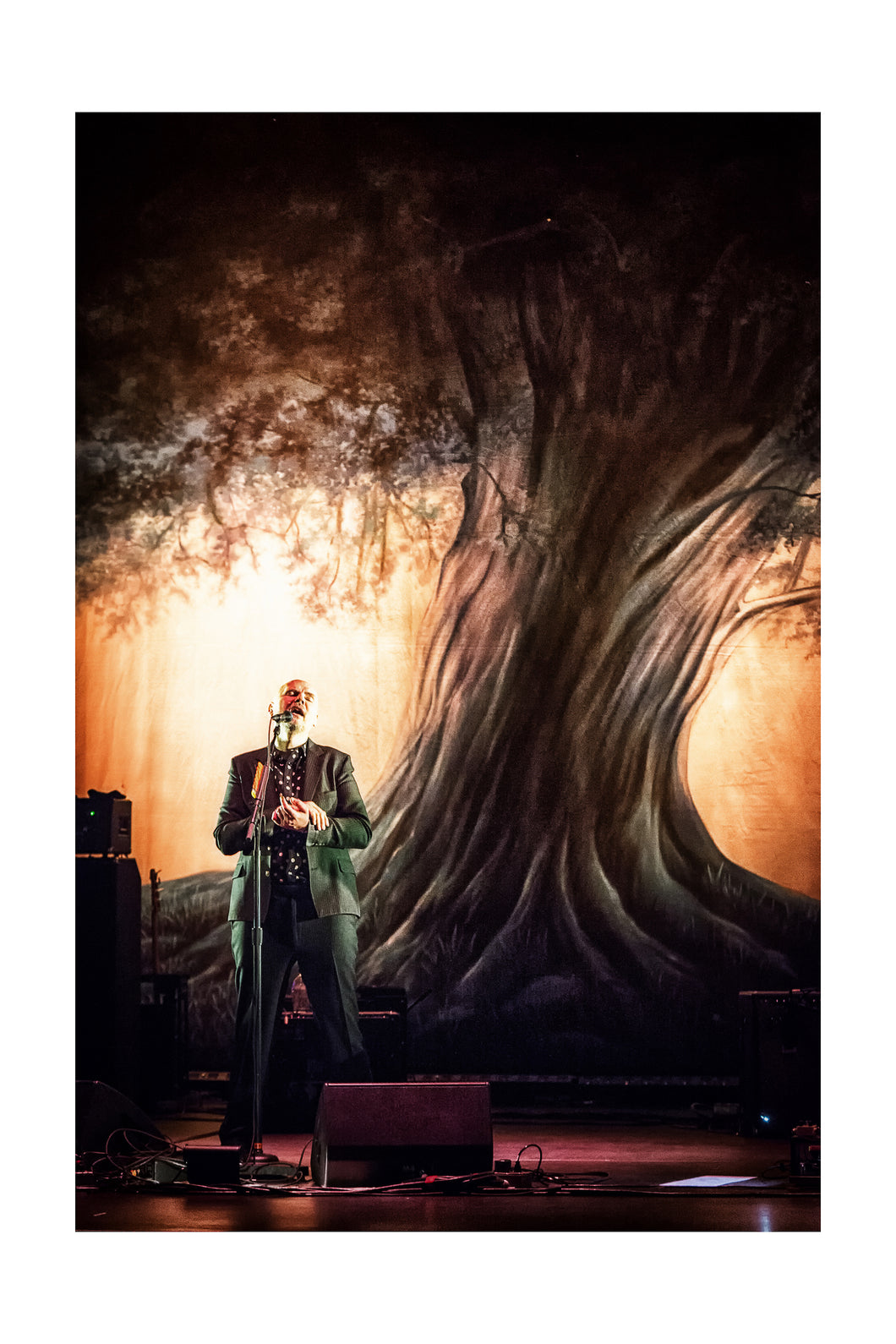 Smashing Pumpkins Beacon Theatre 16x24 Color Print